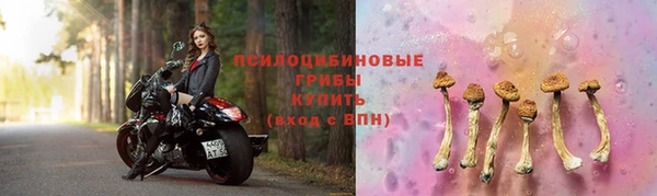 кокс Нея