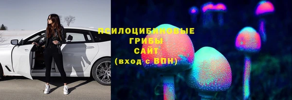 кокс Нея